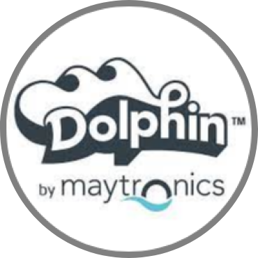 Dolphin