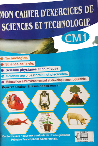 MON CAHIER D'EXERCICES DE SCIENCES ET TECHNOLOGIE CM1