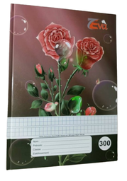 [02243] CAHIER 300P TP LOCALE