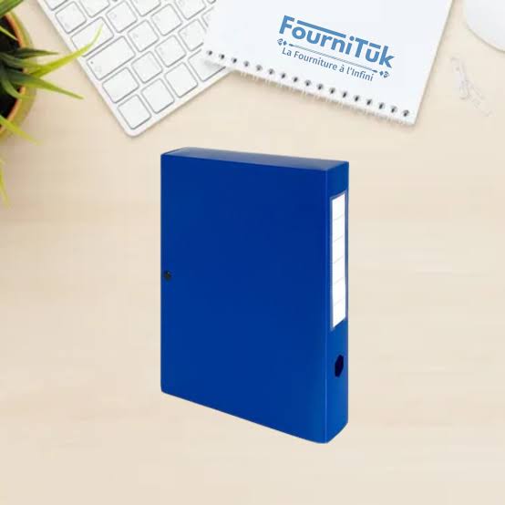 BOITE D'ARCHIVE EN PLASTIQUE KINARY IMS DC5035